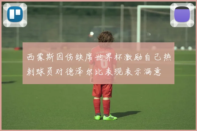 西蒙斯因伤缺席世界杯激励自己热刺球员对德泽尔比表现表示满意
